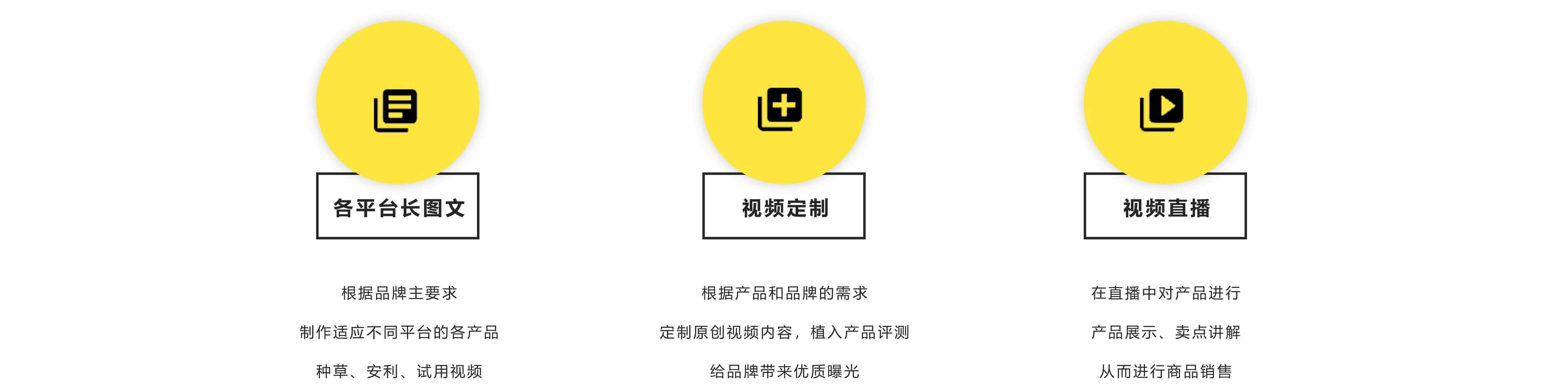 关于宾宾有梨