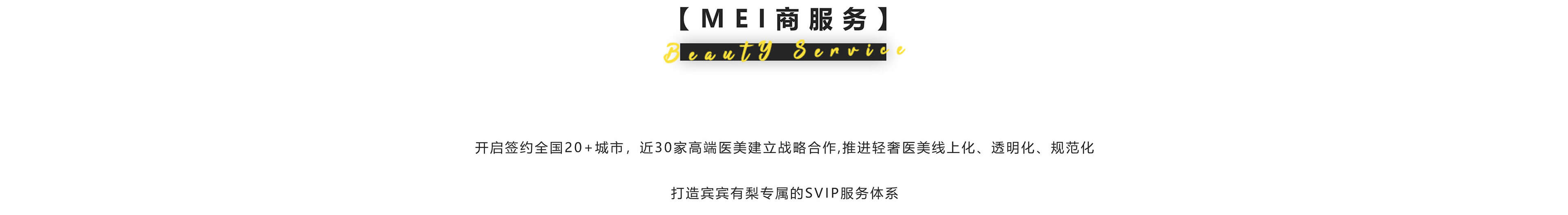 MEI商服务